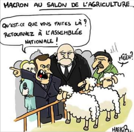 L'humour de la semaine