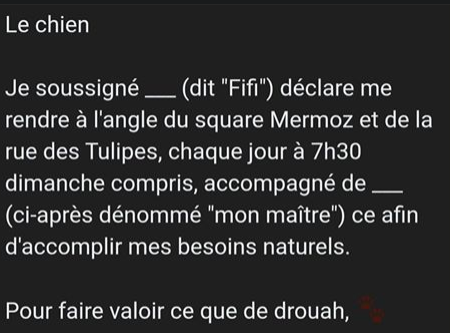 D'un autre côté ils n'auront jamais vu leur maître aussi longtemps. Ils vont être ravis.