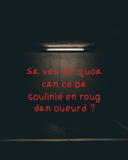 La faute de l'orthographe