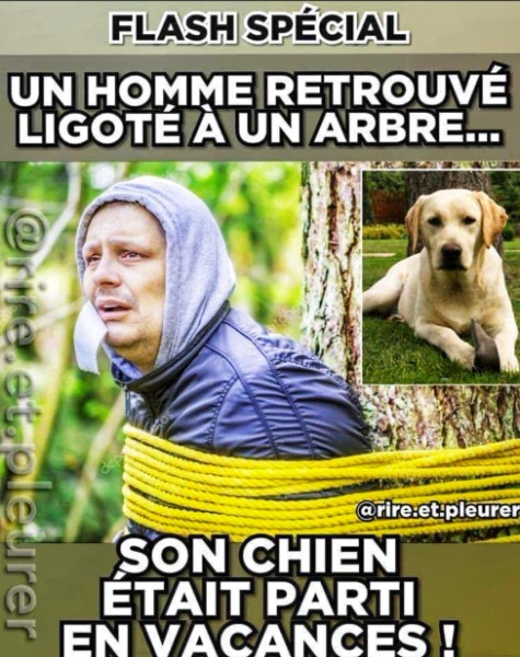 L'humour de la semaine