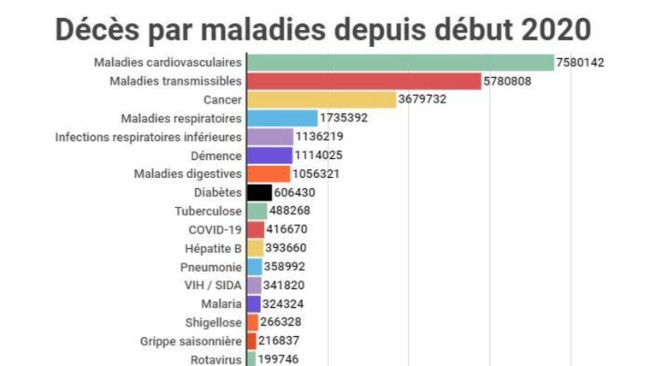 La Covid-19 est très loin des actuels grands fléaux de l'humanité. En revanche c'est certainement celle qui a coûté le plus cher La Covid-19 est très loin des actuels grands fléaux de l'humanité. En revanche c'est certainement celle qui a coûté le plus cher