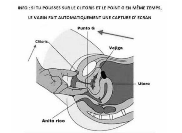 5 trucs à savoir sur le clitoris