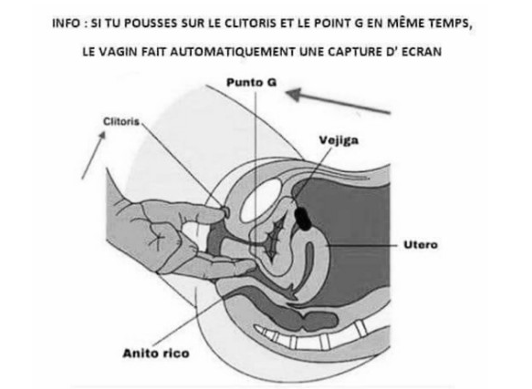 5 trucs à savoir sur le clitoris 5 trucs à savoir sur le clitoris