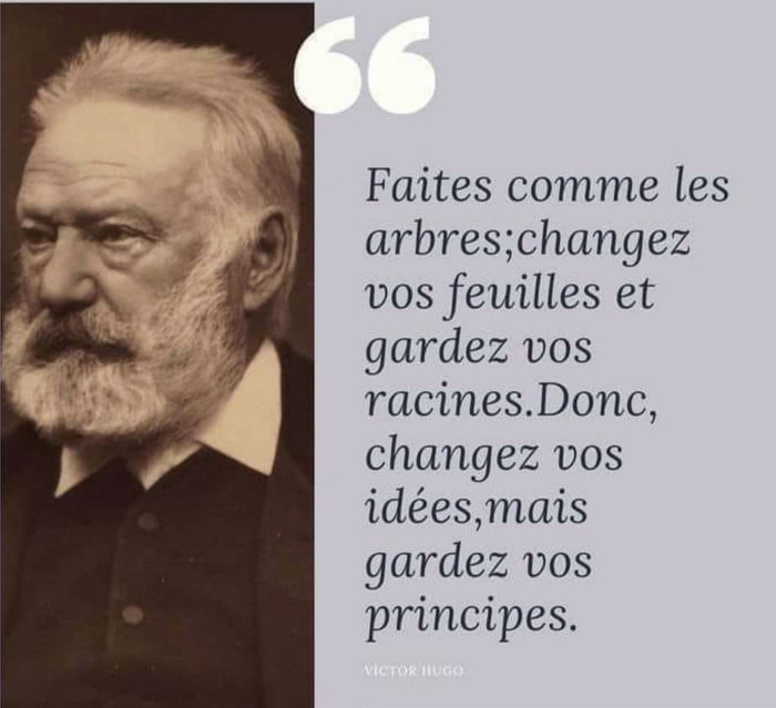 Une autre citation de la semaine