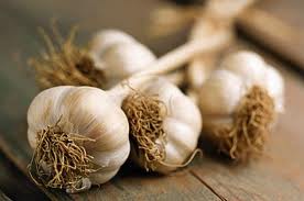 L'ail s'avère 100 fois plus efficace que les antibiotiques et agit en un temps record L'ail s'avère 100 fois plus efficace que les antibiotiques et agit en un temps record