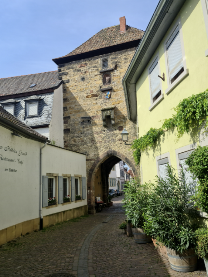 L'Allemagne de mon enfance, revisitée L'Allemagne de mon enfance, revisitée