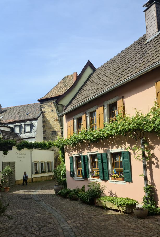 L'Allemagne de mon enfance, revisitée L'Allemagne de mon enfance, revisitée