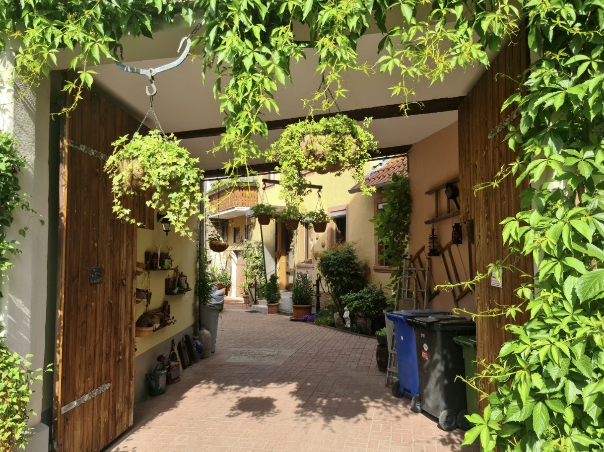 L'Allemagne de mon enfance, revisitée L'Allemagne de mon enfance, revisitée