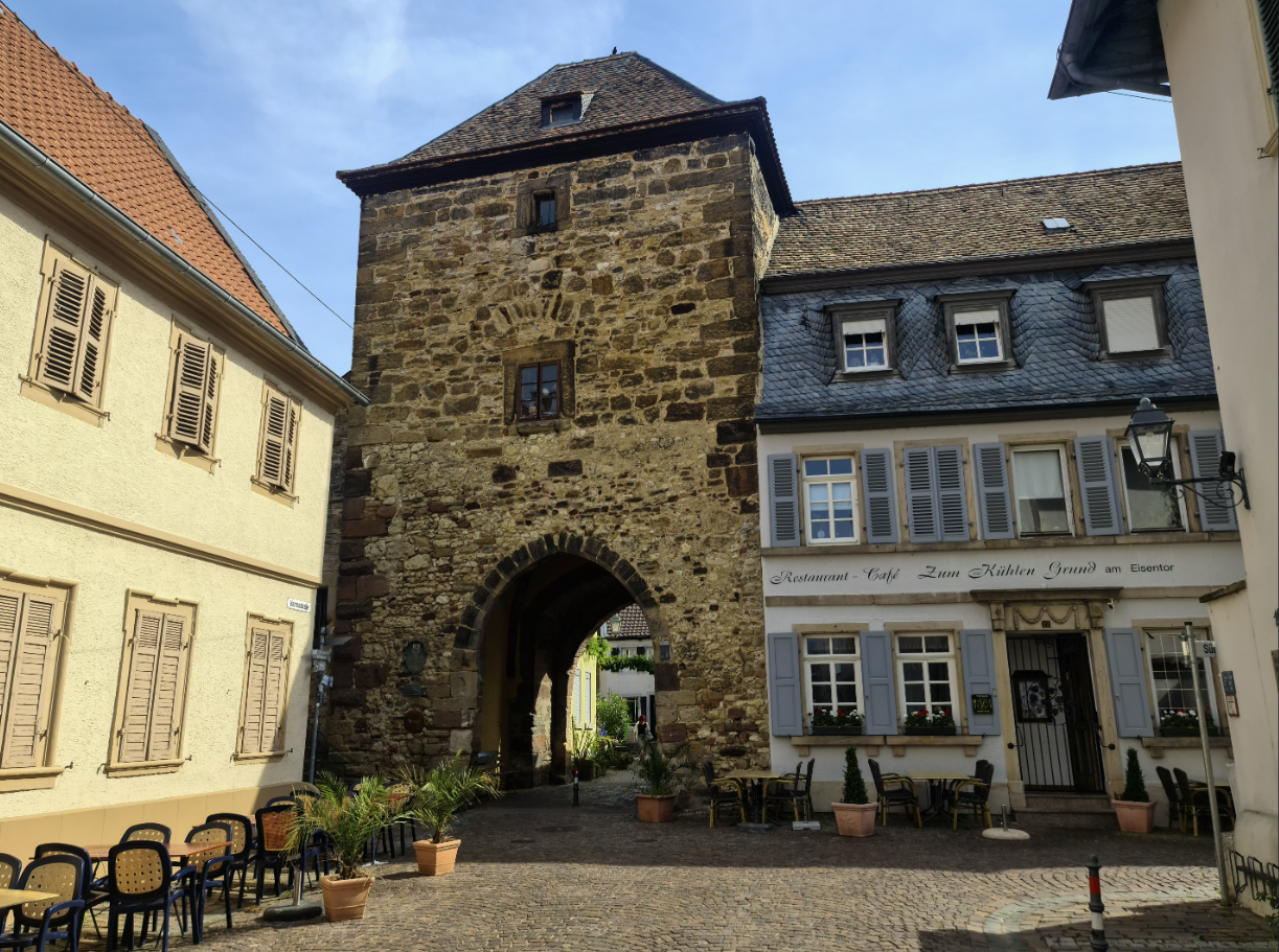 L'Allemagne de mon enfance, revisitée L'Allemagne de mon enfance, revisitée