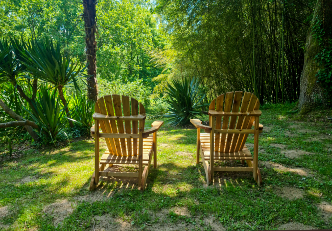 Dans le  parc de la maison