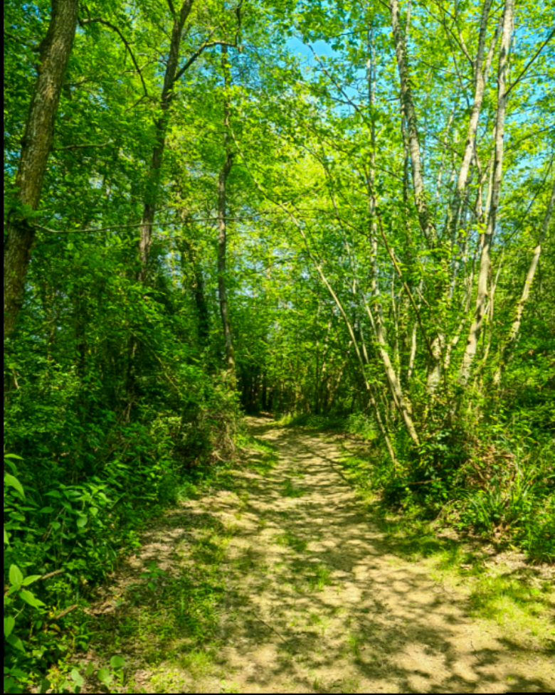 Un autre sentier