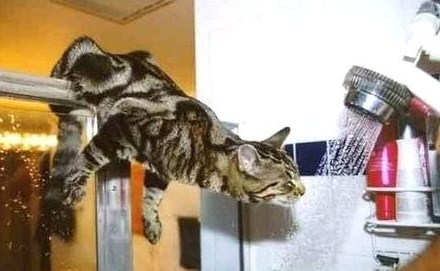 L'histoire de la semaine L'histoire de la semaine