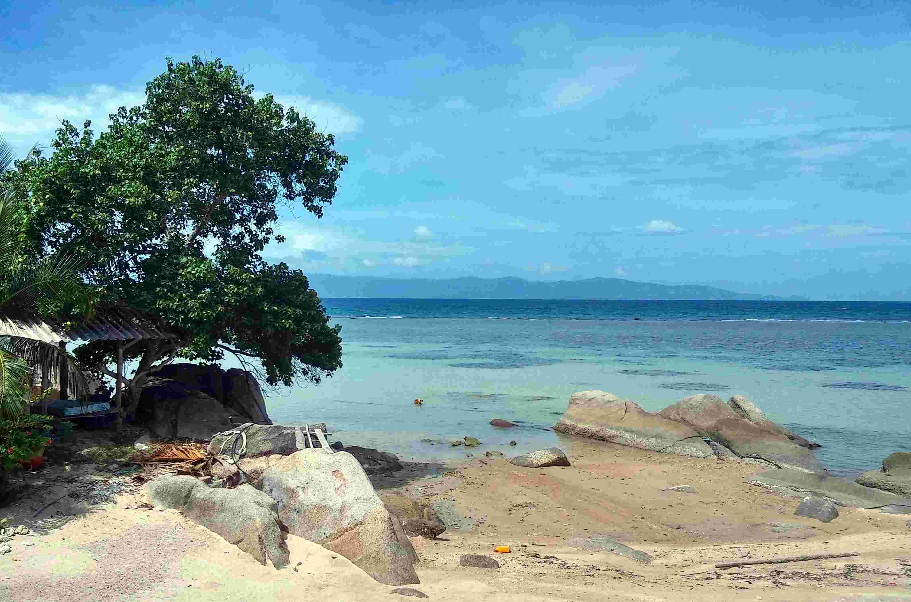 Photo ce jour de ma terrasse, 10.45 du matin. La météo prévoyait du mauvais temps ! En face, Samui, à gauche l'appentis du resort où j'habite. Toutes les photos sont sur mon Picasa (cliquez sur la photo en haut à gauche de la page d'accueil de ce site)