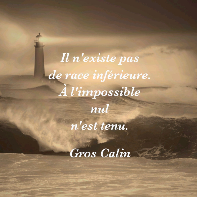 La Pensee De La Semaine Et Les Joies Du Livre Audio La Pensee De La Semaine Et Les Joies Du Livre Audio