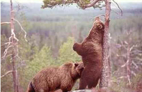 10 conseils pour réaliser une fellation inoubliable 10 conseils pour réaliser une fellation inoubliable