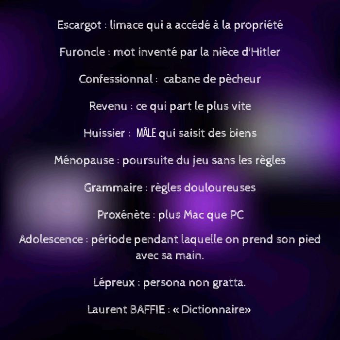 Quelques  définitions savoureuses de Laurent Baffie, dans son Dictionnaire
