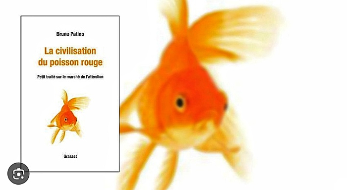 La civilisation du poisson rouge, petit traité sur le marché de  l'attention