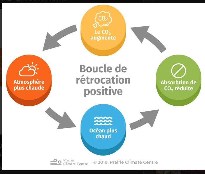 L'effondrement climatique interviendra dans seulement 15 ans, voici pourquoi