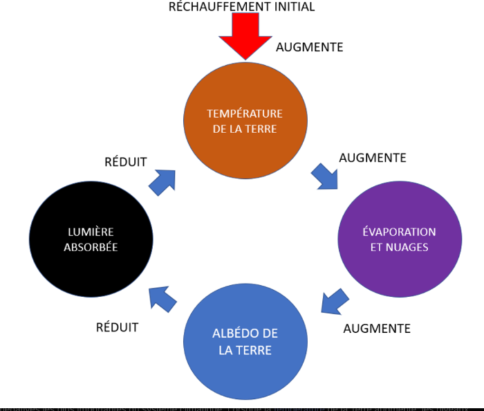 Boucle de rétroaction négative