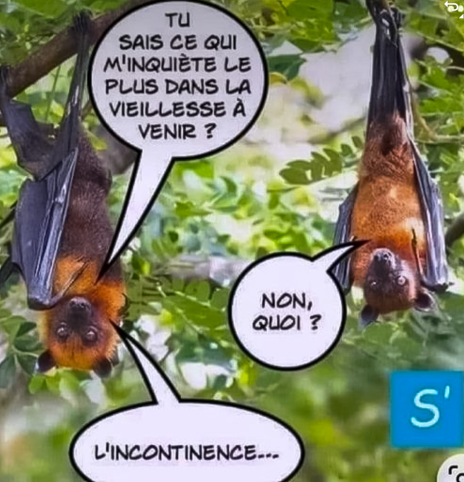 L'image de la semaine
