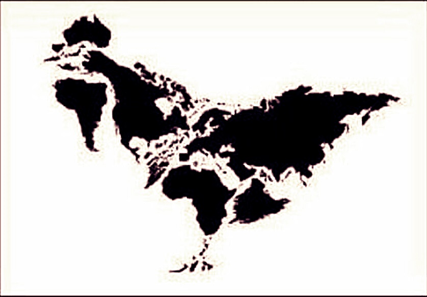Comment regrouper les continents de façon originale...