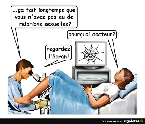 Image : internet + Photoleap Image : internet + Photoleap