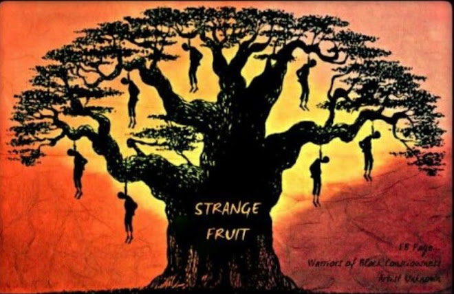 Image : Internet + Lightroom Image : Internet + Lightroom