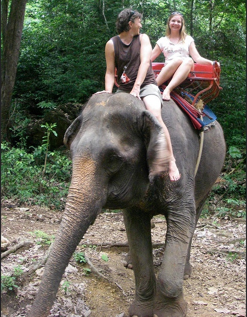 Ce qu'on a fait aux éléphants sur lesquels les touristes se promènent, ravis...
