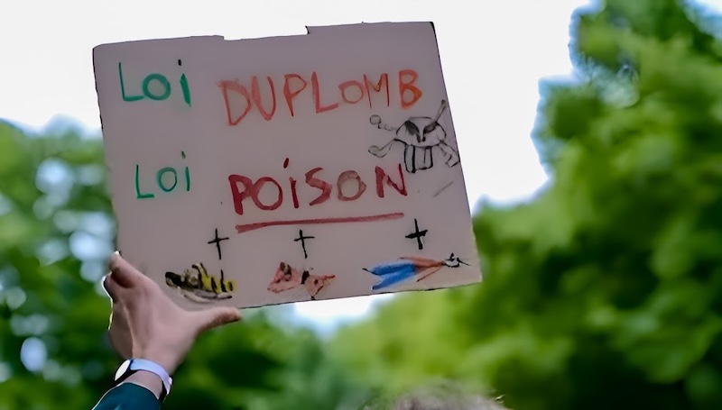 Image Internet + Photoleap Image Internet + Photoleap