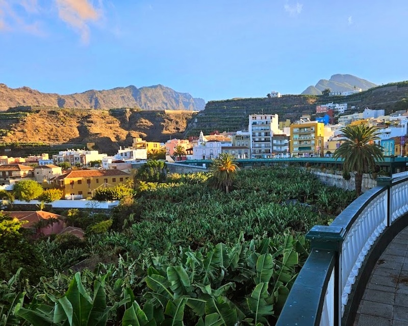Photo Zfold 5 + Google Photos