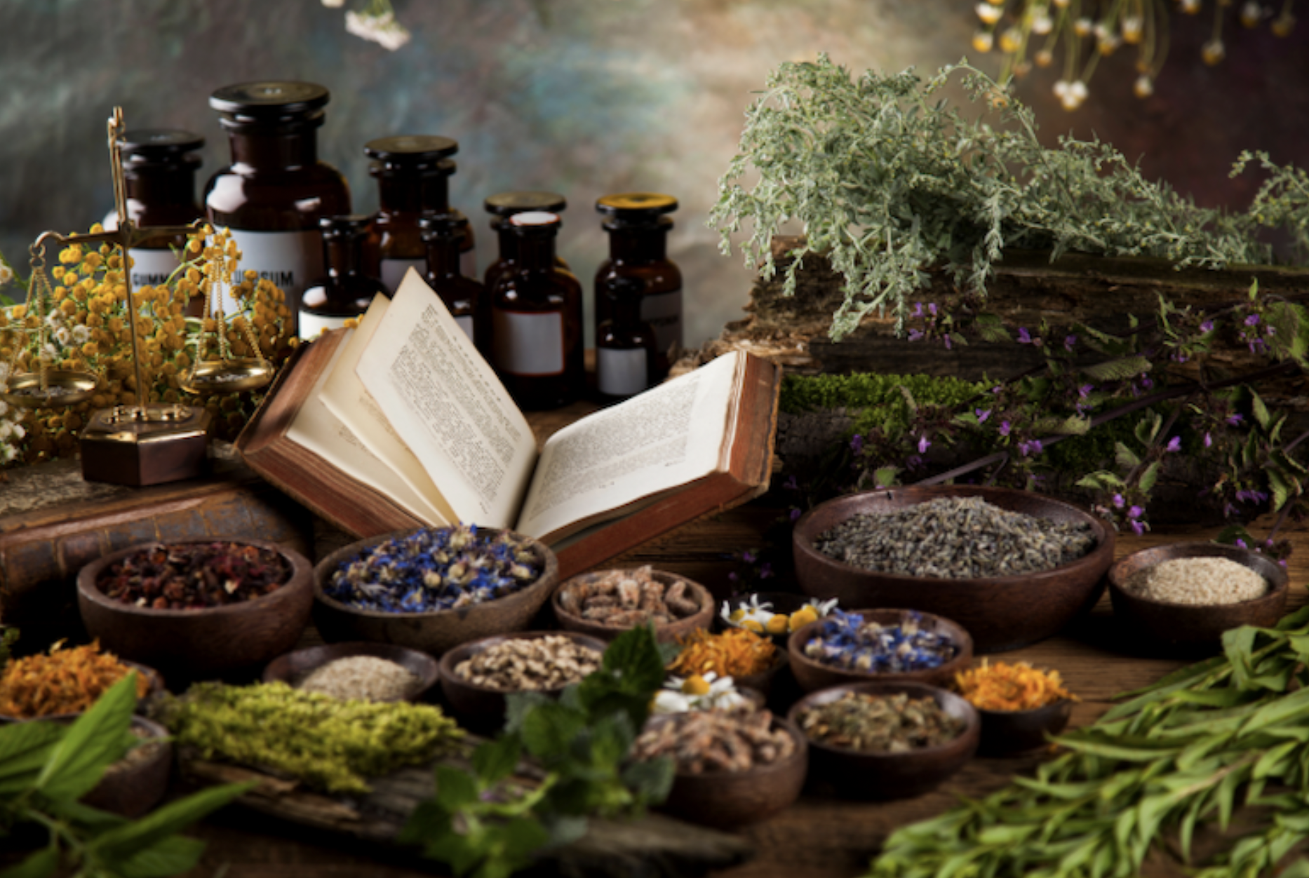 Image : https://holisticnaturalhealthexperts.com