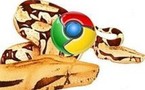 Qui a dit que Google Chrome  manque d'extensions ?