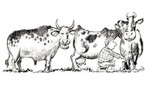 Vous avez deux vaches...