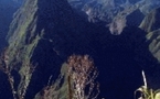 Des photos de la Réunion