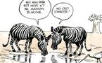 Quelques histoires qui m'ont fait rire ...