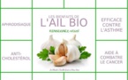 Connaissez-vous les bienfaits de l'ail ?