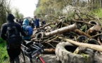 L’expulsion de la Zad de Notre-Dame-des-Landes vire au fiasco