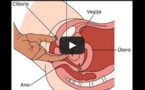 Le point G féminin : démonstration en vidéo, réédition