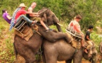 Sa balader à dos d'éléphant n'est pas commun... Sa balader à dos d'éléphant n'est pas commun...