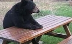 La patience est un plat qui se mange froid...