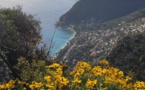 Le webmaster est en vacances : mise à jour du 3 janvier avec toutes mes photos de voyage. 
