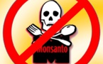 Glyphosate : un vaste plagiat de Monsanto dénoncé
