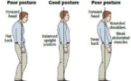 Un outil efficace pour améliorer votre posture