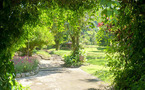Balades à Chiang Mai
