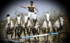 Lorenzo et ses chevaux