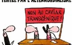 Où il est démontré que la politique est parfois plus subtile qu'elle ne paraît !