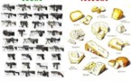 Les américains sont très spéciaux. Les américains sont très spéciaux.