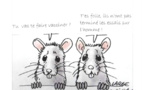 Les vaccins A.R.N sont anticonstitutionnels !