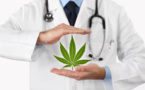 Du cannabis à l'hospice