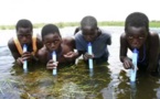 Une "paille" qui filtre l'eau et qui pourrait sauver des millions de vies